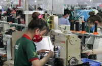 Đà Nẵng tạm dừng, hoãn thanh tra, kiểm tra doanh nghiệp