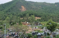 Đà Nẵng tính bỏ cây keo trồng cây gỗ lớn để ngăn sạt lở