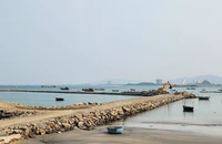 Đà Nẵng giữ lại nhiều diện tích rừng tự nhiên tại Làng Vân và Cảng Liên Chiểu