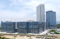 Đà Nẵng phấn đấu là thành phố chuyển đổi số điển hình