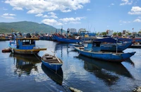 Chủ tịch Đà Nẵng yêu cầu nghiêm túc chống khai thác IUU