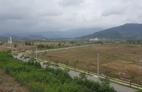Đà Nẵng chuyển mục đích sử dụng rừng để làm 2 dự án giao thông trọng điểm.