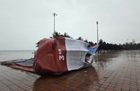 Bão Trà Mi đang vào, 1 số cây và trụ tên đường tại Đà Nẵng ngã đổ