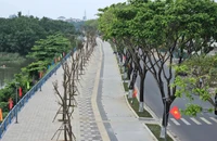 Đà Nẵng khánh thành tuyến cảnh quan ven sông tuyệt đẹp, rợp bóng cây xanh