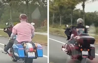 Lái mô tô buông cả 2 tay trên đường ven biển, 2 người nước ngoài bị xử phạt
