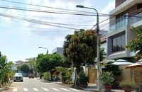 Hủy tạm hoãn xuất cảnh vụ ‘đang làm giáo viên bỗng thành giám đốc nợ thuế’