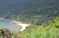 13 dự án trên bán đảo Sơn Trà, Đà Nẵng đang được xử lý đến đâu?