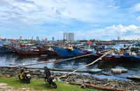 Chủ tịch Đà Nẵng: Tuyệt đối không chủ quan trước bão số 5