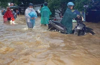Bão số 12: Đà Nẵng đề nghị người dân tích trữ lương thực đủ cho 3 ngày