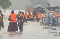 Đà Nẵng tạm dừng khởi công 5 trường nội trú để lo ứng phó mưa lũ