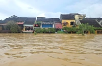 Lũ rút dần trước đợt mưa mới, Chủ tịch Đà Nẵng chỉ đạo ứng phó