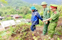 2 vết nứt dài hàng chục mét trên núi, 1 xã ở Đà Nẵng sơ tán dân khẩn cấp
