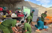 Đà Nẵng xây lại nhà bị thiệt hại cho người dân trước Tết Nguyên đán 2026