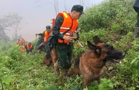 Hàng trăm chiến sĩ cùng chó nghiệp vụ tìm 3 người mất tích trong vụ sạt lở ở Đà Nẵng