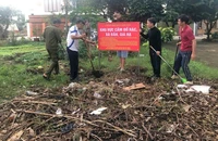 1 phường ở Đà Nẵng dọn gần 300 tấn rác đổ trộm chỉ trong vài ngày