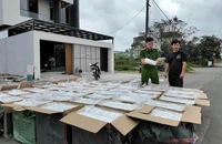Công an Đà Nẵng bắt giữ xe tải chở thuốc lá lậu đặc biệt lớn