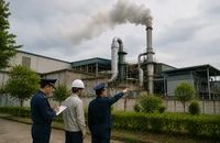 Công ty giấy ở Đà Nẵng bị phạt 420 triệu đồng do vi phạm về môi trường