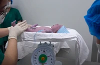 Can thiệp tim mạch tại phòng đẻ mổ, cứu sống thai nhi mắc dị tật tim bẩm sinh