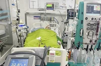 Bị điện giật, ngừng tim khi câu cá dưới đường dây cao thế