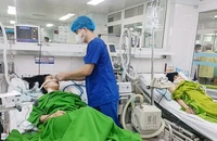 Phú Thọ: Hai chị em cùng nguy kịch do ngộ độc lá ngón