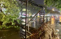 Hà Nội mưa lớn kèm gió mạnh, cây xanh bật gốc