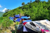 Mong mỏi của 115 người ở thôn Kho Vàng, Lào Cai sau cuộc di cư vội vã