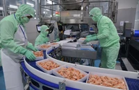 Doanh nghiệp Việt Nam thay đổi chiến lược trong bối cảnh mới