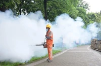 Chikungunya tăng ở nhiều nước, Bộ Y tế yêu cầu siết chặt kiểm dịch ngay tại cửa khẩu