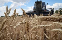 Nga nói thỏa thuận ngũ cốc Ukraine không đủ cho các nước đói nghèo. Ảnh: Gleb Garanich/REUTERS