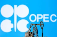 OPEC+ họp và chốt giữ nguyên chính sách sản lượng dầu. Ảnh: Dado Ruvic/REUTERS