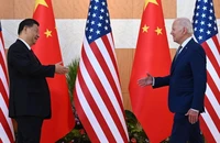 Tổng thống Mỹ Joe Biden (trái) và Chủ tịch Trung Quốc Tập Cận Bình gặp nhau tại Indonesia hồi tháng 11. Ảnh: Saul Loeb/AFP/GETTY IMAGES