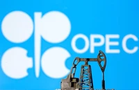 IEA cho biết một phần lý do khiến OPEC+ cắt giảm sản lượng dầu là sự biến động nhanh chóng trong dòng chảy thương mại dầu thô toàn cầu. Ảnh: Dado Ruvic/REUTERS
