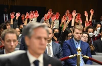 Dân Mỹ biểu tình phản đối khi 2 ông Austin, Blinken điều trần viện trợ Israel, Ukraine