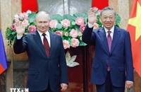 Chùm ảnh: Chủ tịch nước Tô Lâm và Tổng thống Nga Vladimir Putin bước vào hội đàm