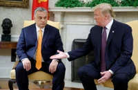 Ông Trump và ông Orban sắp gặp nhau tại Mar-a-Lago, sẽ bàn cuộc chiến Ukraine