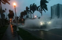 VIDEO: Bão Milton đổ bộ Florida với sức gió cực mạnh