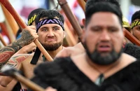 New Zealand: Hàng chục nghìn người biểu tình phản đối dự luật liên quan người bản địa Maori