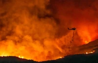 Cháy rừng ở Los Angeles: Bùng phát nhiều đám cháy mới nguy hiểm, hàng chục ngàn người phải sơ tán