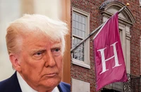 Ông Trump: Harvard 'phải thay đổi cách làm việc'