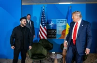 Ông Zelensky giục ông Trump chấm dứt chiến sự Ukraine như ở Trung Đông