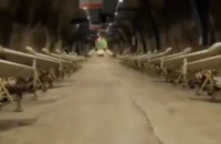 VIDEO: Iran khoe kho vũ khí ngầm dùng để tấn công Mỹ