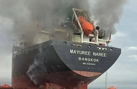 Báo động nghiêm trọng an ninh tàu thuyền ở Eo biển Hormuz 
