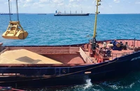 Kiev triệu tập đại sứ Israel liên quan yếu tố Nga 