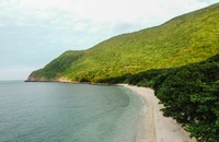 Hành trình 'hộ tống' rùa con về với biển