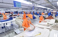 TP.HCM sẽ tinh giảm các trường đào tạo nghề công lập