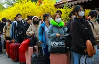 'Chuyến xe mùa xuân' đưa 2.200 sinh viên, công nhân về quê đón tết cùng gia đình
