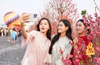 Du khách thích thú check-in cung đường hoa xuân rực rỡ tại Cần Giờ