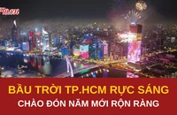TP.HCM rực rỡ pháo hoa, người dân vỡ òa đón năm mới Bính Ngọ