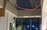 Cộng đồng mạng tranh cãi vụ vỡ kính khiến nữ bác sĩ liệt nửa người tại The Coffee House