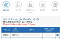 Luật BHXH 2024, được tạm dừng đóng BHXH bắt buộc khi nào?